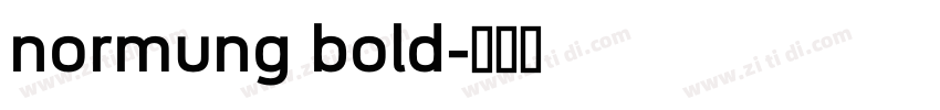 normung bold字体转换